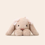 Baby Stuffed Animal Bunny