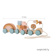 Montessori Wooden Train Toy Set