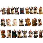 Cat-Themed Christmas Advent Calendar