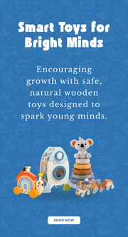 Educational Wooden Toys