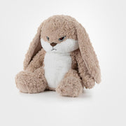 Angry Rabbit Plush Toy : The Grumpy Guardian Bunny