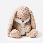 Angry Rabbit Plush Toy : The Grumpy Guardian Bunny