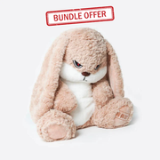 Angry Rabbit Plush Toy : The Grumpy Guardian Bunny