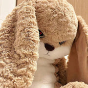 Angry Rabbit Plush Toy : The Grumpy Guardian Bunny