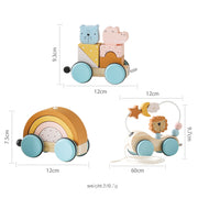 Montessori Wooden Train Toy Set