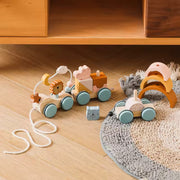 Montessori Wooden Train Toy Set